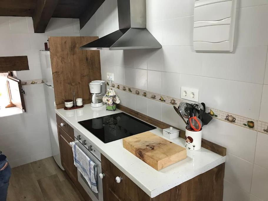 Apartamento Rustico En El Valle De Trapaga La Arboleda Zugaztieta Dış mekan fotoğraf
